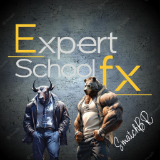 ExpertFX School